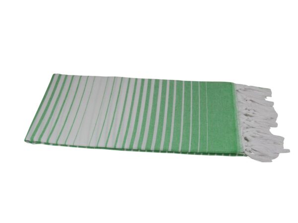 Hamamtuch Strandtuch Liva hellgrün 501503.jpg